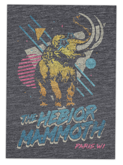 The Hebior Mammoth Paris Wisconsin Tee Heather Navy Color Photo